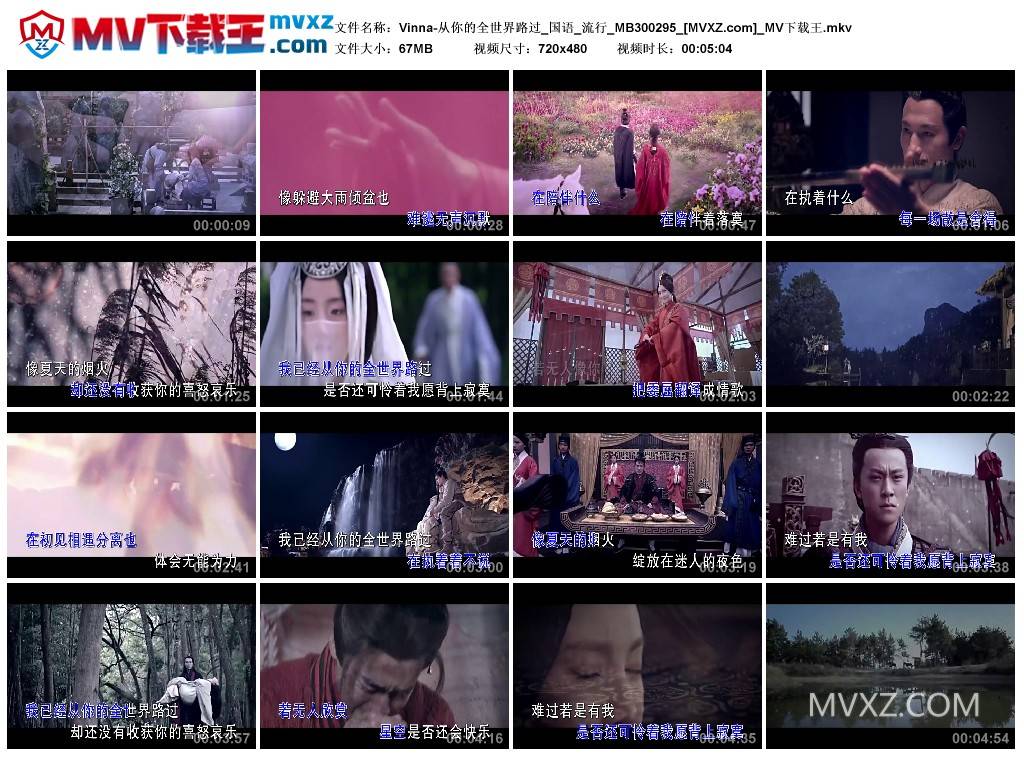 Vinna-从你的全世界路过_国语_流行_MB300295